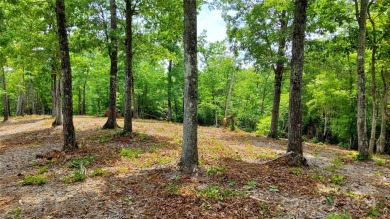 MOUNTAIN VIEWS GALORE on Lots 20 & 21 with 3+ Acres in Tatanka on Rumbling Bald Resort on Lake Lure in North Carolina - for sale on GolfHomes.com, golf home, golf lot