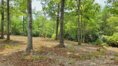 MOUNTAIN VIEWS GALORE on Lots 20 & 21 with 3+ Acres in Tatanka on Rumbling Bald Resort on Lake Lure in North Carolina - for sale on GolfHomes.com, golf home, golf lot