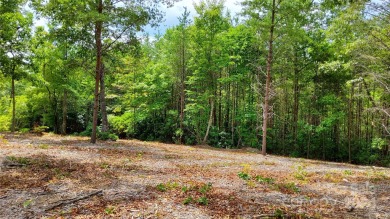 MOUNTAIN VIEWS GALORE on Lots 20 & 21 with 3+ Acres in Tatanka on Rumbling Bald Resort on Lake Lure in North Carolina - for sale on GolfHomes.com, golf home, golf lot