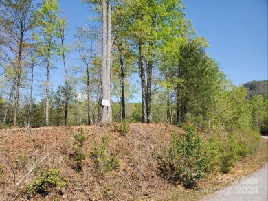 MOUNTAIN VIEWS GALORE on Lots 20 & 21 with 3+ Acres in Tatanka on Rumbling Bald Resort on Lake Lure in North Carolina - for sale on GolfHomes.com, golf home, golf lot