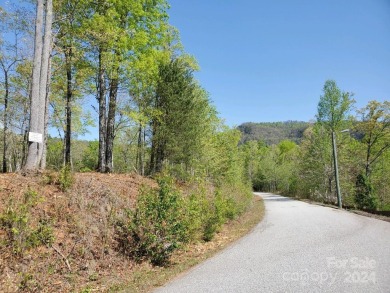 MOUNTAIN VIEWS GALORE on Lots 20 & 21 with 3+ Acres in Tatanka on Rumbling Bald Resort on Lake Lure in North Carolina - for sale on GolfHomes.com, golf home, golf lot