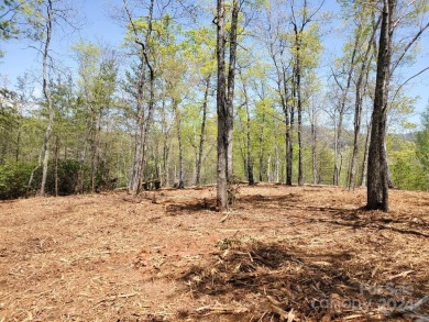 MOUNTAIN VIEWS GALORE on Lots 20 & 21 with 3+ Acres in Tatanka on Rumbling Bald Resort on Lake Lure in North Carolina - for sale on GolfHomes.com, golf home, golf lot