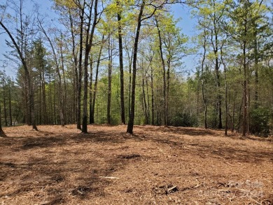 MOUNTAIN VIEWS GALORE on Lots 20 & 21 with 3+ Acres in Tatanka on Rumbling Bald Resort on Lake Lure in North Carolina - for sale on GolfHomes.com, golf home, golf lot