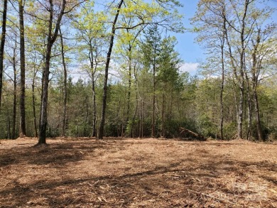 MOUNTAIN VIEWS GALORE on Lots 20 & 21 with 3+ Acres in Tatanka on Rumbling Bald Resort on Lake Lure in North Carolina - for sale on GolfHomes.com, golf home, golf lot