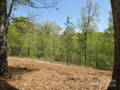 MOUNTAIN VIEWS GALORE on Lots 20 & 21 with 3+ Acres in Tatanka on Rumbling Bald Resort on Lake Lure in North Carolina - for sale on GolfHomes.com, golf home, golf lot