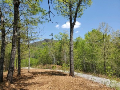MOUNTAIN VIEWS GALORE on Lots 20 & 21 with 3+ Acres in Tatanka on Rumbling Bald Resort on Lake Lure in North Carolina - for sale on GolfHomes.com, golf home, golf lot