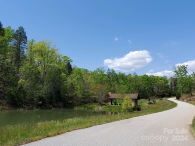 MOUNTAIN VIEWS GALORE on Lots 20 & 21 with 3+ Acres in Tatanka on Rumbling Bald Resort on Lake Lure in North Carolina - for sale on GolfHomes.com, golf home, golf lot