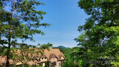 MOUNTAIN VIEWS GALORE on Lots 20 & 21 with 3+ Acres in Tatanka on Rumbling Bald Resort on Lake Lure in North Carolina - for sale on GolfHomes.com, golf home, golf lot