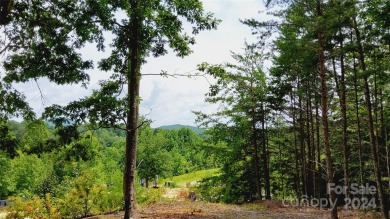 MOUNTAIN VIEWS GALORE on Lots 20 & 21 with 3+ Acres in Tatanka on Rumbling Bald Resort on Lake Lure in North Carolina - for sale on GolfHomes.com, golf home, golf lot