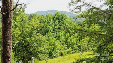 MOUNTAIN VIEWS GALORE on Lots 20 & 21 with 3+ Acres in Tatanka on Rumbling Bald Resort on Lake Lure in North Carolina - for sale on GolfHomes.com, golf home, golf lot