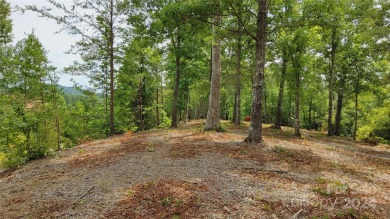 MOUNTAIN VIEWS GALORE on Lots 20 & 21 with 3+ Acres in Tatanka on Rumbling Bald Resort on Lake Lure in North Carolina - for sale on GolfHomes.com, golf home, golf lot