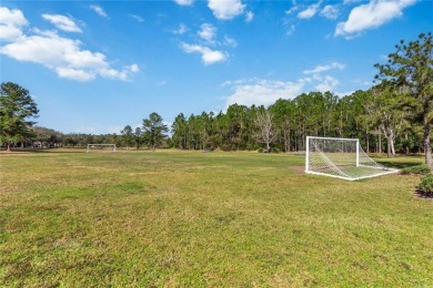 Welcome to this stunning 3-bedroom, 3-bathroom home with an on Harmony Golf Preserve in Florida - for sale on GolfHomes.com, golf home, golf lot