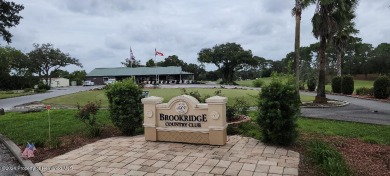 NEW PRICE!  Beautiful Location on #5 Hole! Beautiful Home! on Brookridge Country Club in Florida - for sale on GolfHomes.com, golf home, golf lot