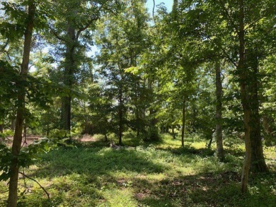 This wonderful half acre homesite is located in the heavily on Bay Creek Golf Club in Virginia - for sale on GolfHomes.com, golf home, golf lot