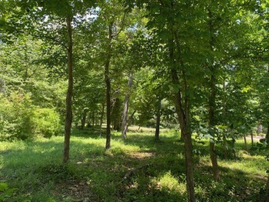 This wonderful half acre homesite is located in the heavily on Bay Creek Golf Club in Virginia - for sale on GolfHomes.com, golf home, golf lot