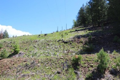 This 122 acres abuts the Golf Course in Kellogg, Idaho. Lots of on Galena Ridge Golf Course At Silver Mountain Resort in Idaho - for sale on GolfHomes.com, golf home, golf lot