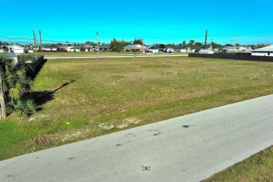 Exclusively presented by Sunland Real Estate: Oversized .39 acre on Del Tura Golf and Country Club in Florida - for sale on GolfHomes.com, golf home, golf lot