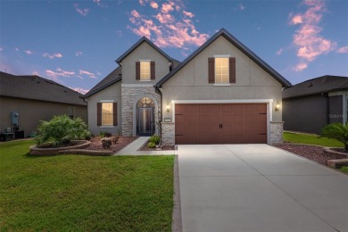 This beautiful Martin Ray has all the bells and whistles! Built on Stone Creek Golf Club in Florida - for sale on GolfHomes.com, golf home, golf lot