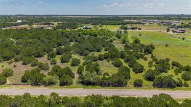 Come build your dream house or weekend getaway in the beautiful on White Bluff Resort - New Course in Texas - for sale on GolfHomes.com, golf home, golf lot