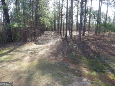 Bring Your Builder !! These are the last two lots in sought on The Creek At Hard Labor in Georgia - for sale on GolfHomes.com, golf home, golf lot