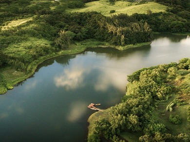 This newly constructed 4,182-sq-ft custom home in The Club at on The Club at Kukuiula in Hawaii - for sale on GolfHomes.com, golf home, golf lot