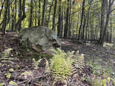 Own your own slice of paradise inside the gated community of on Alpine Lake Resort in West Virginia - for sale on GolfHomes.com, golf home, golf lot