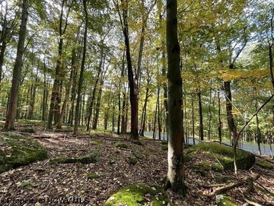 Own your own slice of paradise inside the gated community of on Alpine Lake Resort in West Virginia - for sale on GolfHomes.com, golf home, golf lot