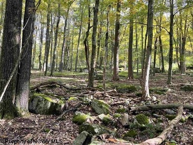 Own your own slice of paradise inside the gated community of on Alpine Lake Resort in West Virginia - for sale on GolfHomes.com, golf home, golf lot