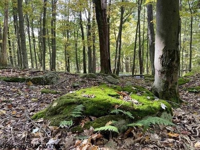 Own your own slice of paradise inside the gated community of on Alpine Lake Resort in West Virginia - for sale on GolfHomes.com, golf home, golf lot