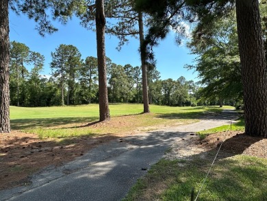 Come take a look at this beautiful home on Santee National Golf on Santee National Golf Course in South Carolina - for sale on GolfHomes.com, golf home, golf lot