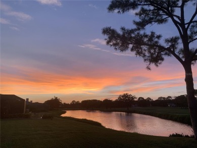 Winding through the picturesque community of The Meadows, you'll on The Meadows Golf and Country Club in Florida - for sale on GolfHomes.com, golf home, golf lot