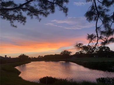 Winding through the picturesque community of The Meadows, you'll on The Meadows Golf and Country Club in Florida - for sale on GolfHomes.com, golf home, golf lot