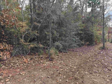 2 lots in Rayburn Country totaling 1/2 Acre - Lake Area Living! on Rayburn Country Club in Texas - for sale on GolfHomes.com, golf home, golf lot