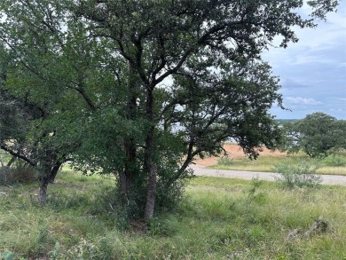 Lakeview from lot 385 in the Kings Point Cove Resort Community on Hideout Golf Club and Resort  in Texas - for sale on GolfHomes.com, golf home, golf lot