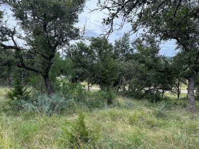 Lakeview from lot 385 in the Kings Point Cove Resort Community on Hideout Golf Club and Resort  in Texas - for sale on GolfHomes.com, golf home, golf lot