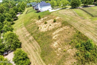 Build your dream home on this stunning 0.63-acre lot in Rarity on  in Tennessee - for sale on GolfHomes.com, golf home, golf lot