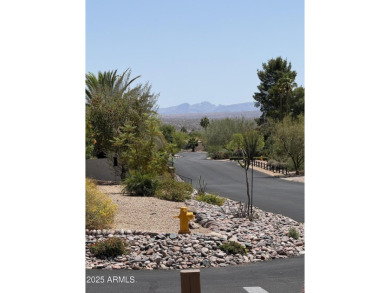 Fabulous mountain views on the side courtyard of this home on Rio Verde Country Club - Quail Run in Arizona - for sale on GolfHomes.com, golf home, golf lot
