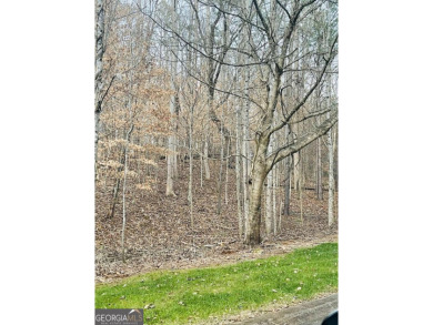 One of the last lots on the ridge in the most private part of on Hawks Ridge Golf Club in Georgia - for sale on GolfHomes.com, golf home, golf lot