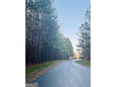 One of the last lots on the ridge in the most private part of on Hawks Ridge Golf Club in Georgia - for sale on GolfHomes.com, golf home, golf lot