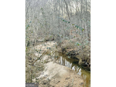 One of the last lots on the ridge in the most private part of on Hawks Ridge Golf Club in Georgia - for sale on GolfHomes.com, golf home, golf lot