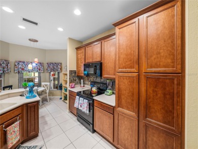 Welcome to the next exciting chapter of your life in Lake Ashton on Lake Ashton Golf Club in Florida - for sale on GolfHomes.com, golf home, golf lot