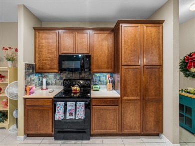 Welcome to the next exciting chapter of your life in Lake Ashton on Lake Ashton Golf Club in Florida - for sale on GolfHomes.com, golf home, golf lot