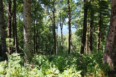 Another amazing land listing brought to you by Abe Mills on The Cliffs at Glassy Golf and Country Club in South Carolina - for sale on GolfHomes.com, golf home, golf lot