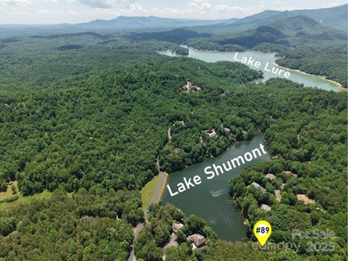 Discover a rare opportunity to craft your luxury lake retreat in on Rumbling Bald Resort on Lake Lure in North Carolina - for sale on GolfHomes.com, golf home, golf lot