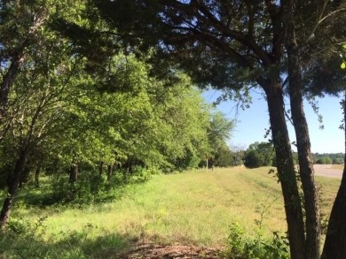 Trees, Trees and more Trees. Beautiful lot backing to a nature on The Retreat in Texas - for sale on GolfHomes.com, golf home, golf lot