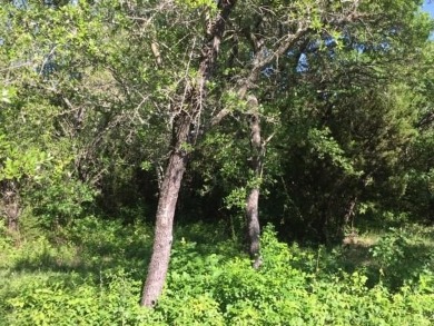 Trees, Trees and more Trees. Beautiful lot backing to a nature on The Retreat in Texas - for sale on GolfHomes.com, golf home, golf lot