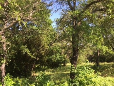 Trees, Trees and more Trees. Beautiful lot backing to a nature on The Retreat in Texas - for sale on GolfHomes.com, golf home, golf lot