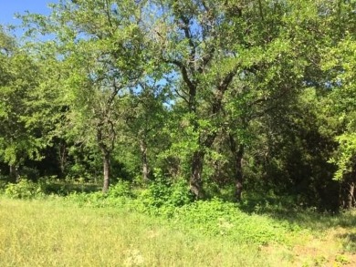 Trees, Trees and more Trees. Beautiful lot backing to a nature on The Retreat in Texas - for sale on GolfHomes.com, golf home, golf lot
