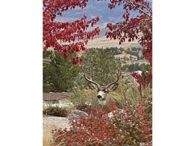 This luxurious custom-designed ArrowCreek estate sits on a 1 on ArrowCreek Golf Club - The Challenge in Nevada - for sale on GolfHomes.com, golf home, golf lot