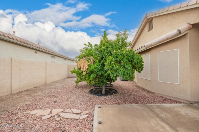 Charming and immaculately maintained home in one of the best on Coyote Lakes Golf Club in Arizona - for sale on GolfHomes.com, golf home, golf lot